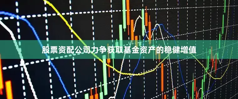 股票资配公司力争获取基金资产的稳健增值