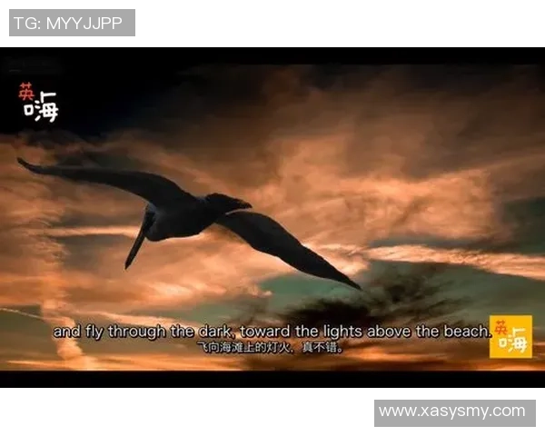 深度对话：李强在英雄联盟中的成长与挑战之路