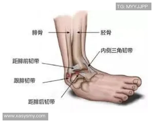 足球运动中脚踝疼痛的原因及预防措施探讨